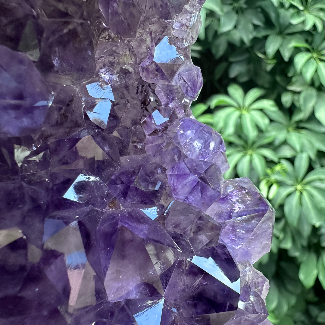 Capilla Amatista #27 7