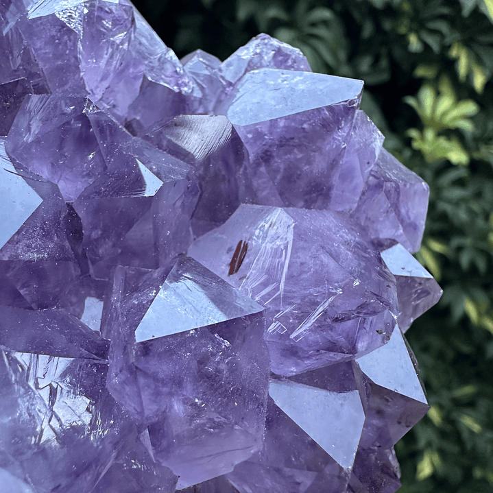 Capilla Amatista #28 3