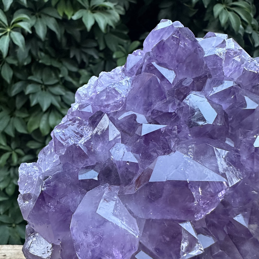 Capilla Amatista #28 2