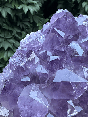 Capilla Amatista #28