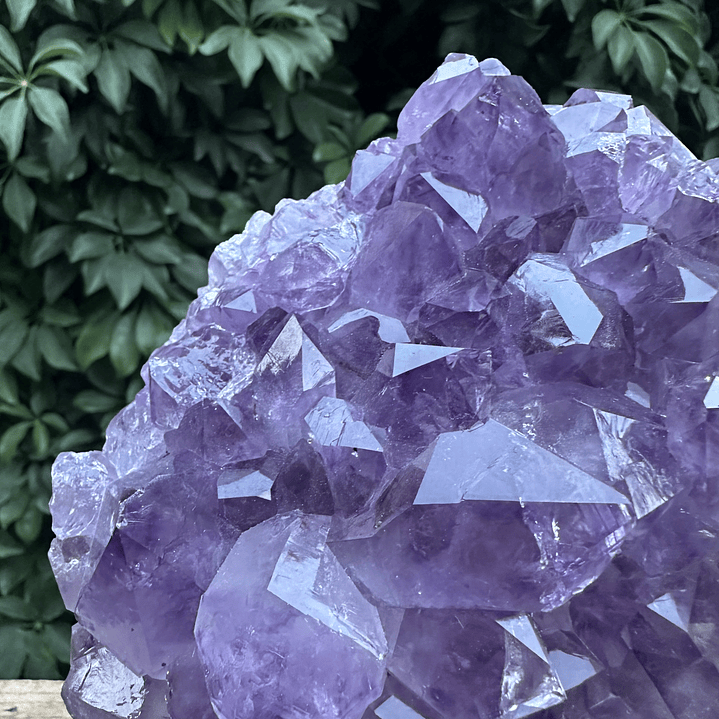 Capilla Amatista #28 2