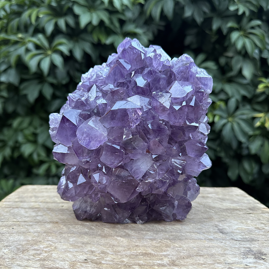 Capilla Amatista #28 1