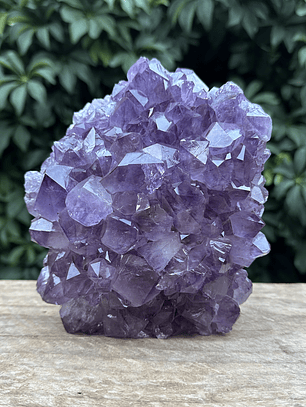 Capilla Amatista #28