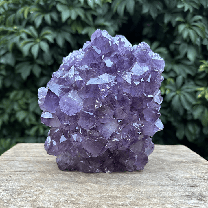 Capilla Amatista #28 1