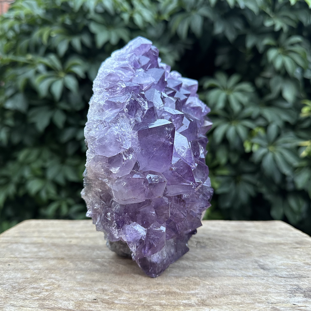 Capilla Amatista #28 5