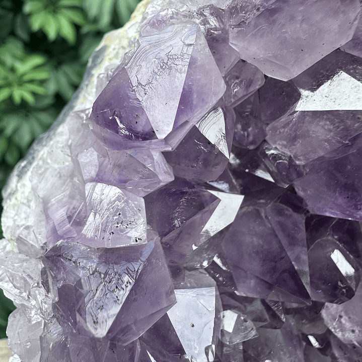 Capilla Amatista #29 3