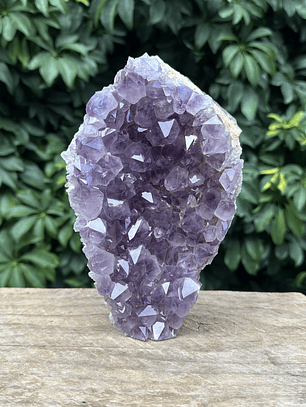 Capilla Amatista #29