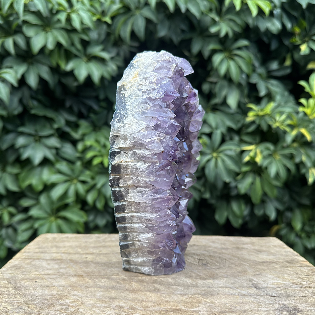 Capilla Amatista #29 5