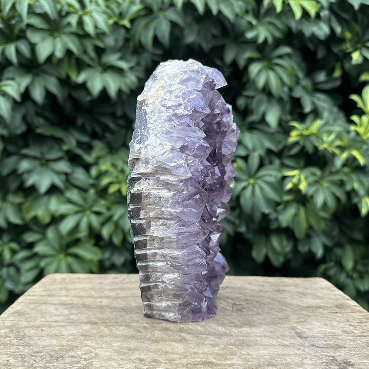 Capilla Amatista #29 5