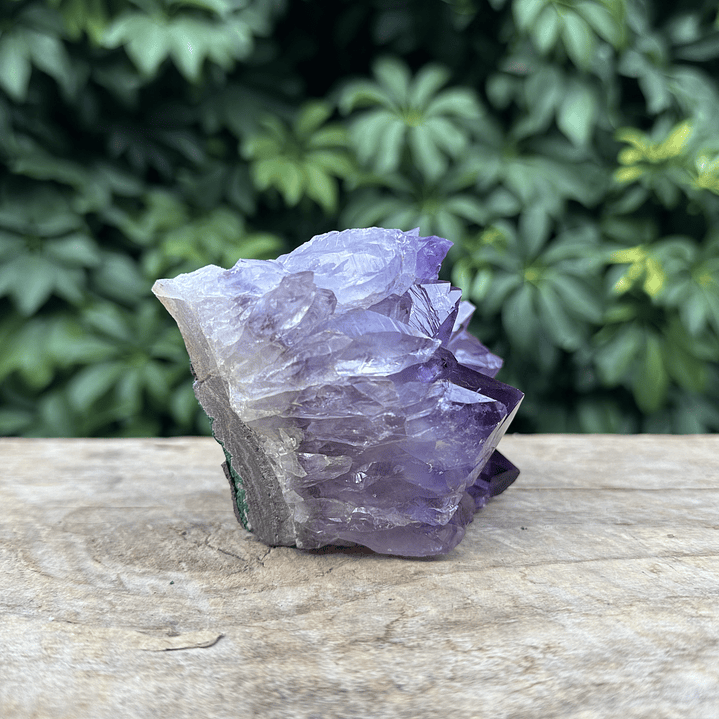 Capilla Amatista #30 4