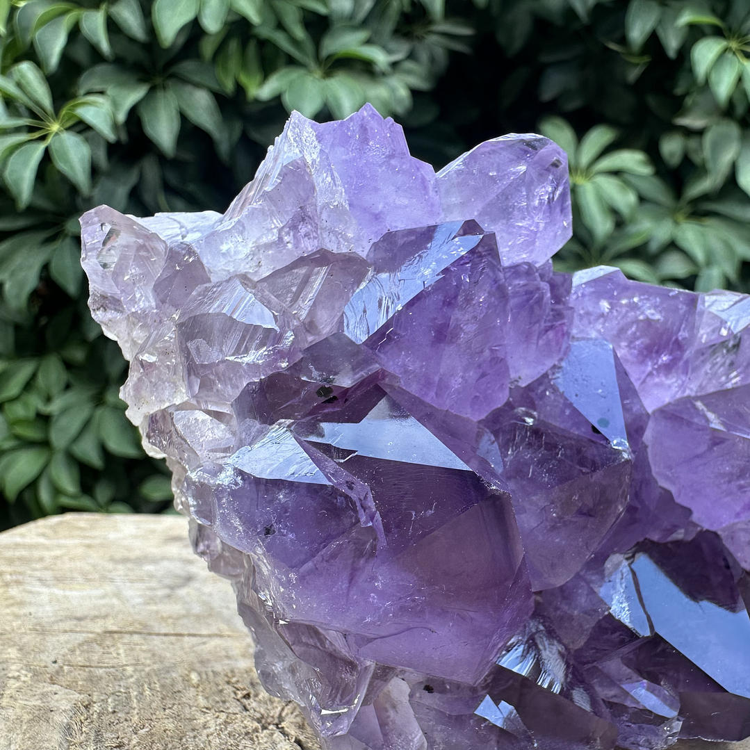 Capilla Amatista #30 2