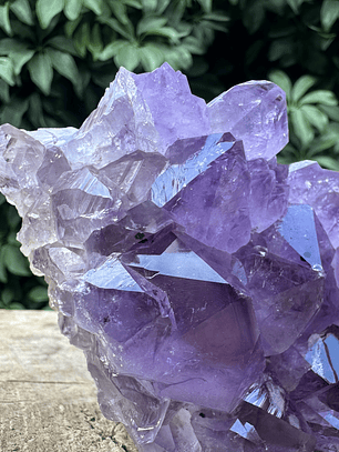 Capilla Amatista #30