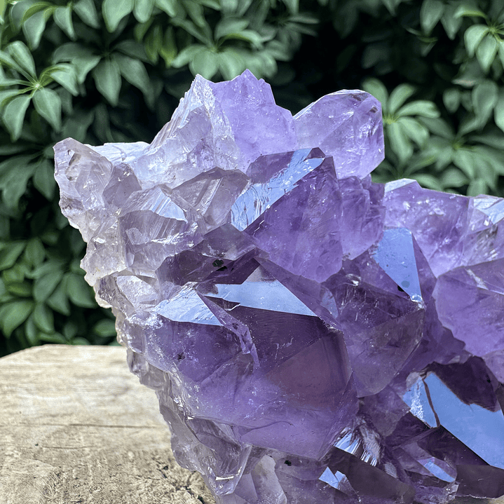 Capilla Amatista #30 2