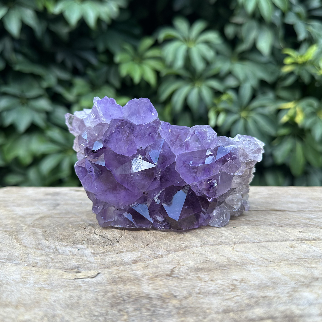 Capilla Amatista #30 1