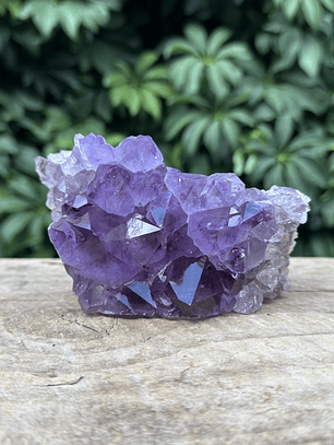 Capilla Amatista #30