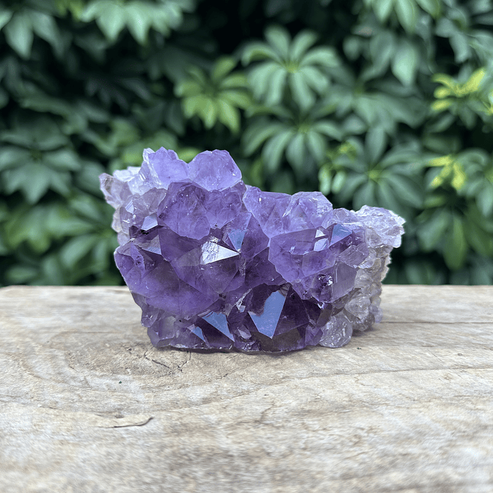 Capilla Amatista #30 1