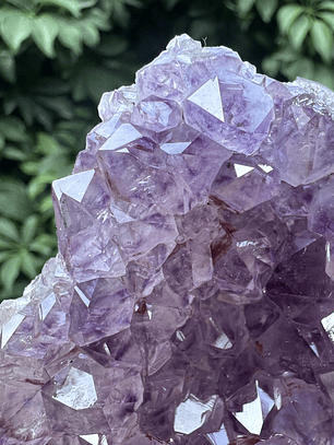 Capilla Amatista mini #35