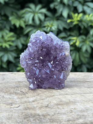 Capilla Amatista mini #35