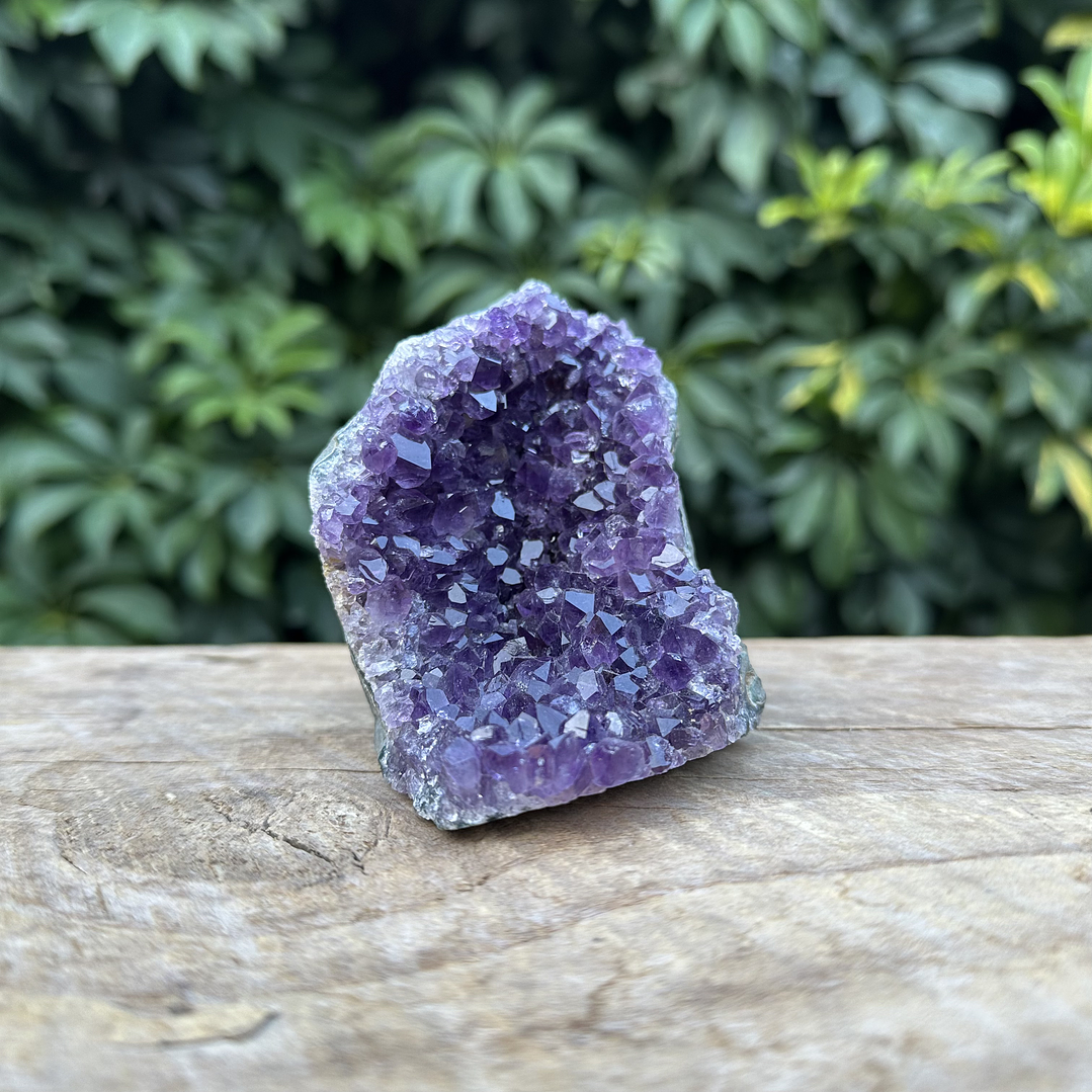 Capilla Amatista mini #36 1