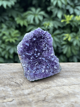 Capilla Amatista mini #36