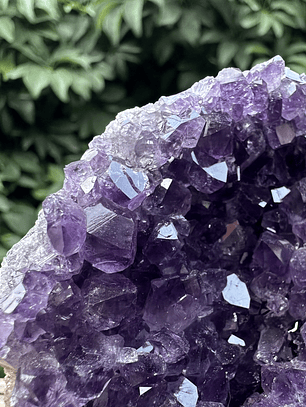 Capilla Amatista mini #36