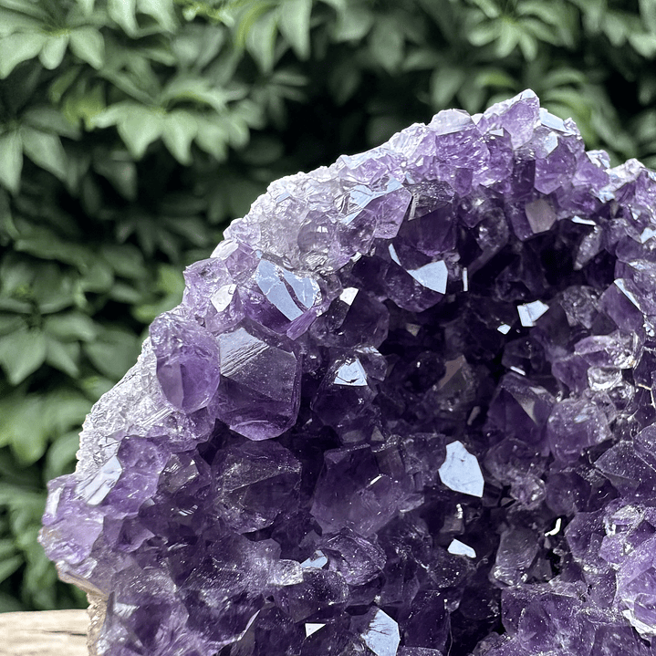 Capilla Amatista mini #36 2