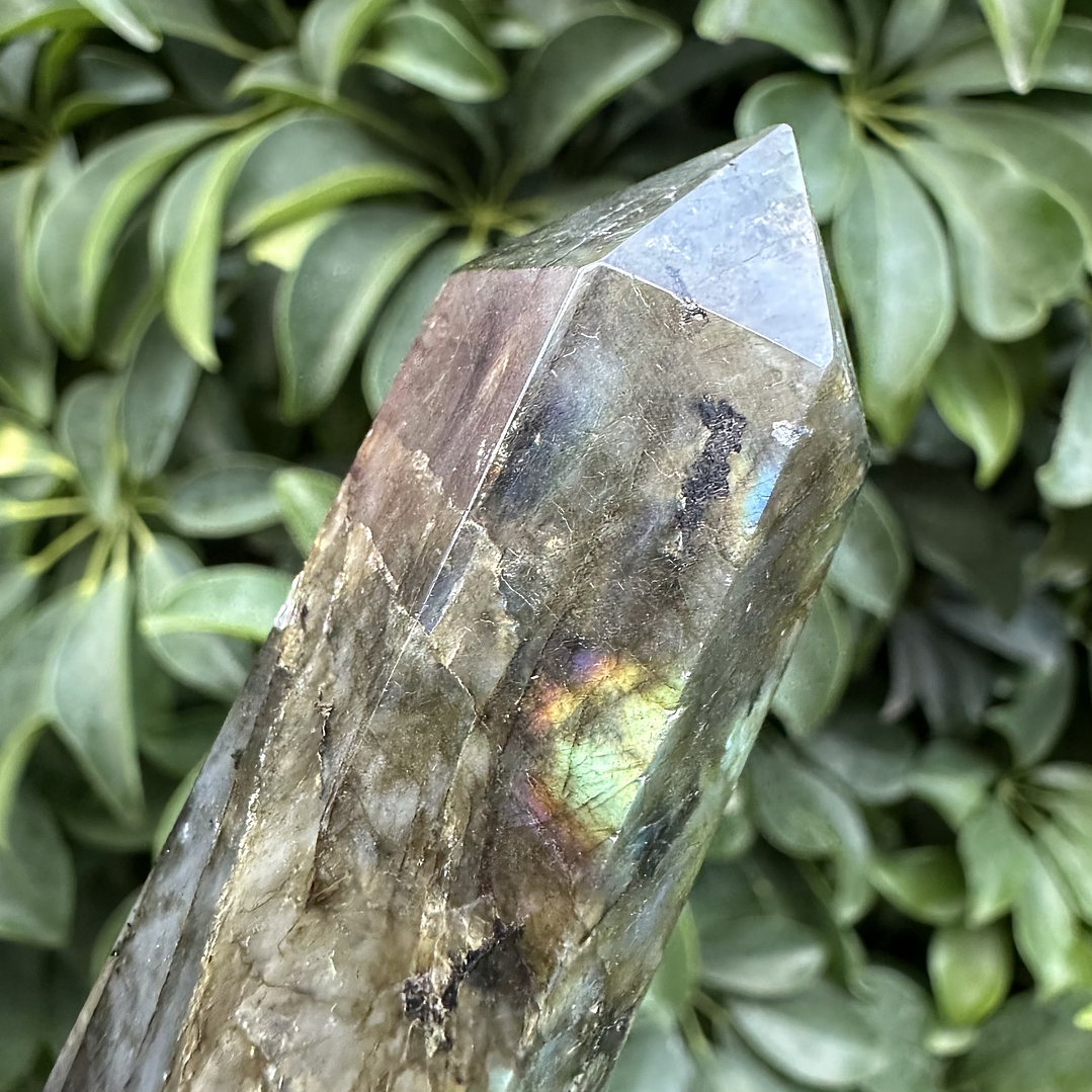 Labradorita en obelisco #4 5