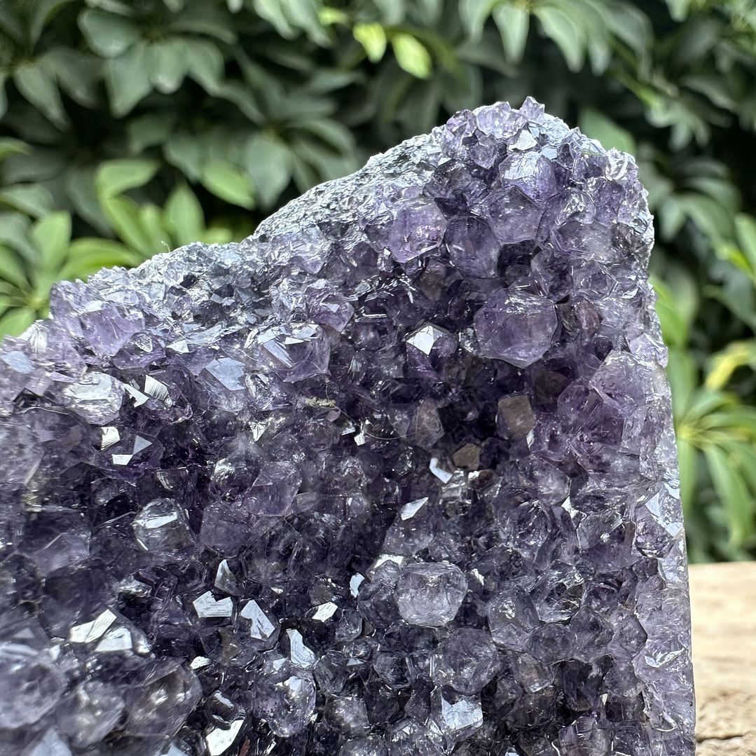 Capilla Amatista mini #37 2