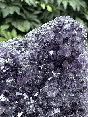 Capilla Amatista mini #37