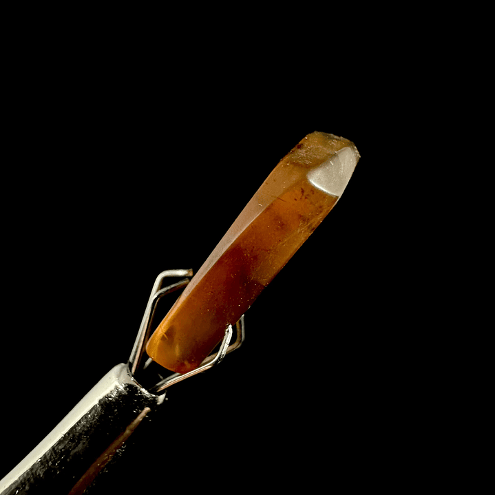 Ámbar con insecto #21 4