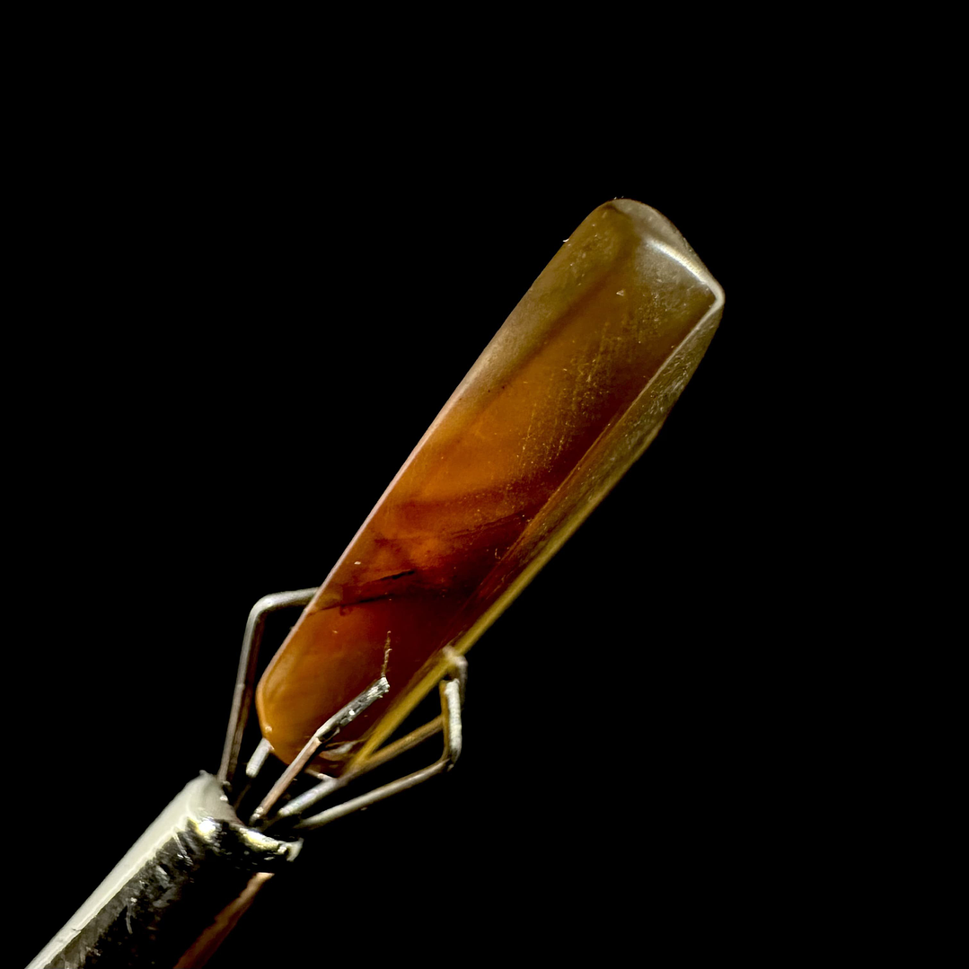 Ámbar con insecto #21 6
