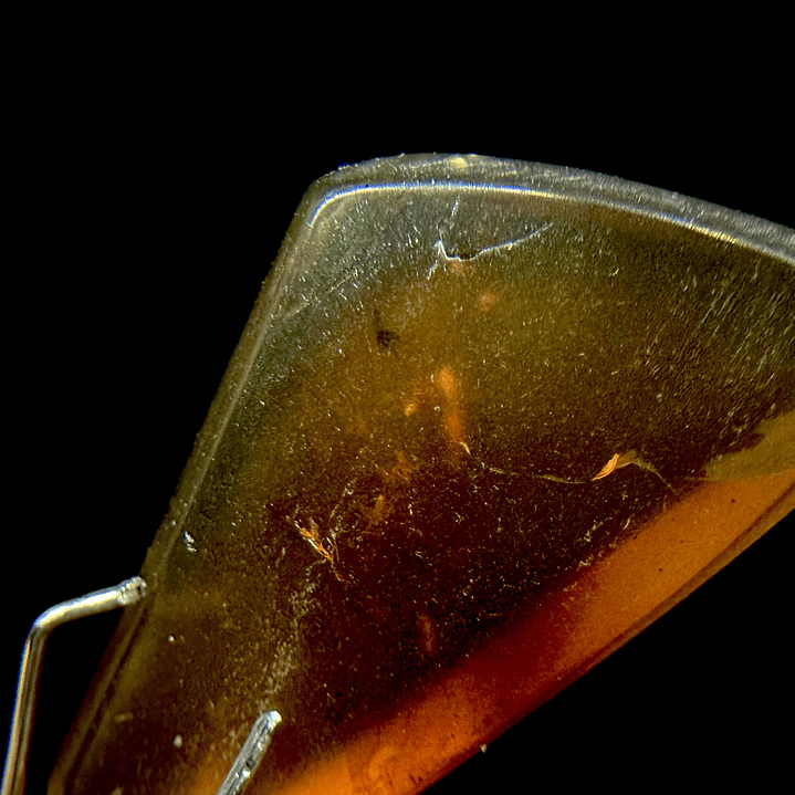 Ámbar con insecto #21 3