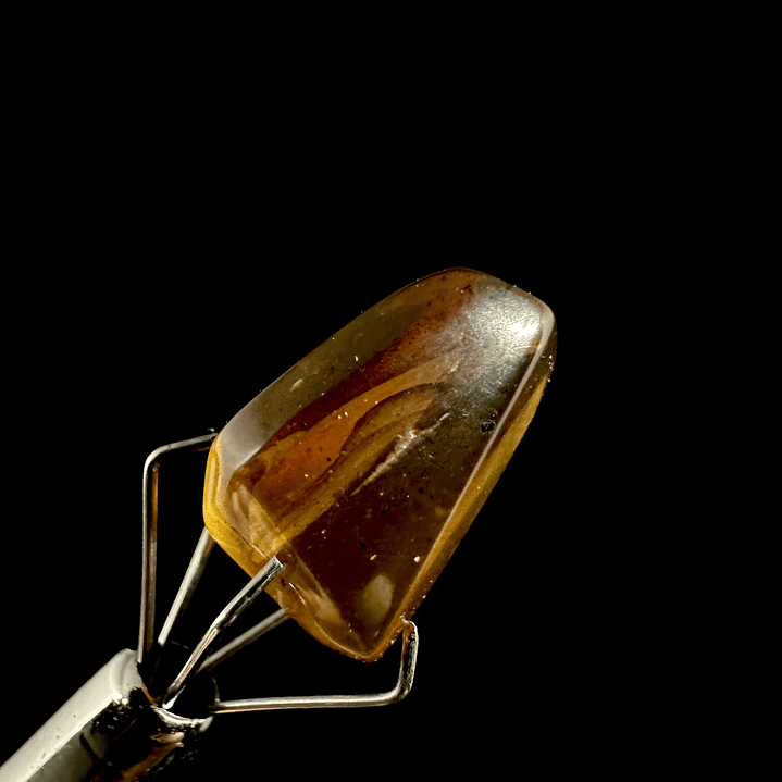 Ámbar con insecto #22 3