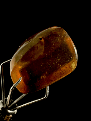 Ámbar con insecto #22