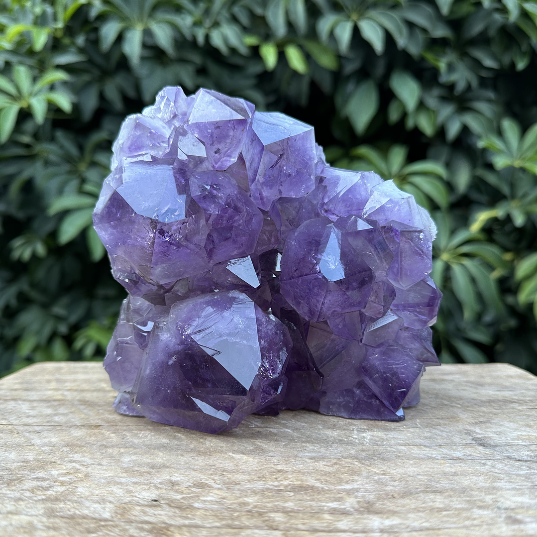 Capilla Amatista #31 1