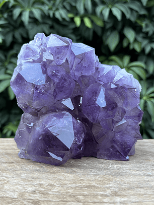 Capilla Amatista #31