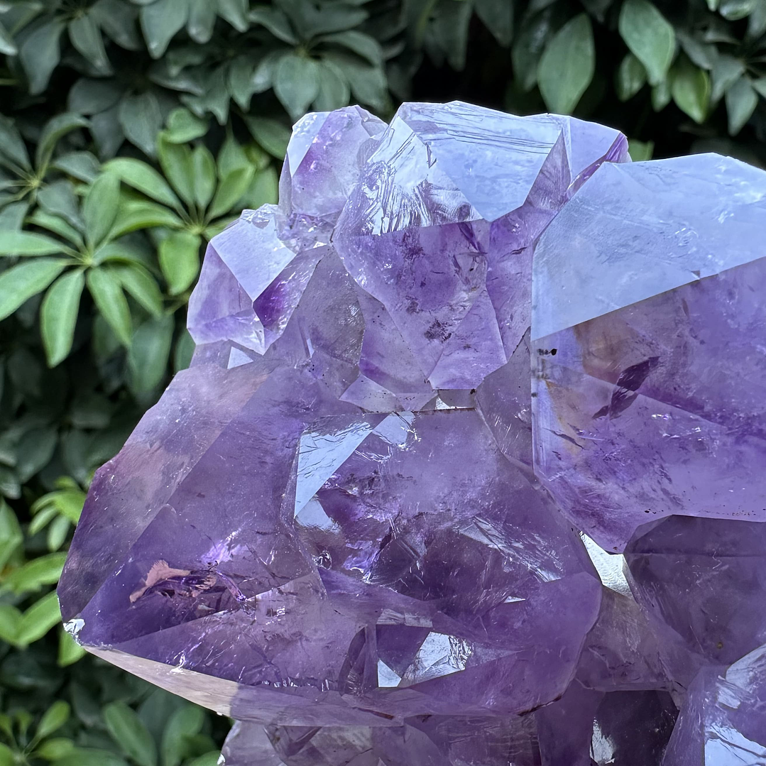 Capilla Amatista #31 3