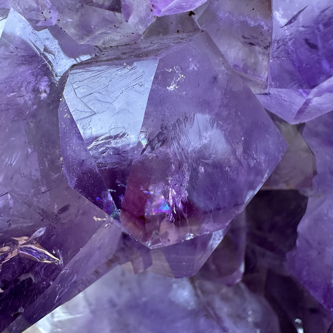 Capilla Amatista #31 2