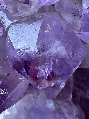 Capilla Amatista #31