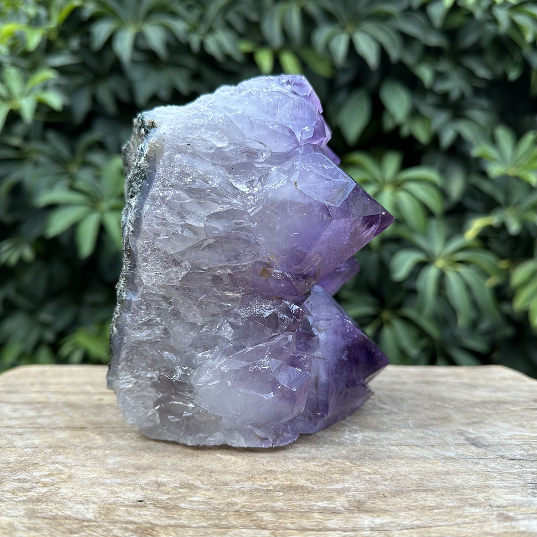 Capilla Amatista #31 5