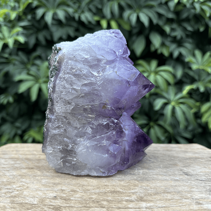 Capilla Amatista #31 5