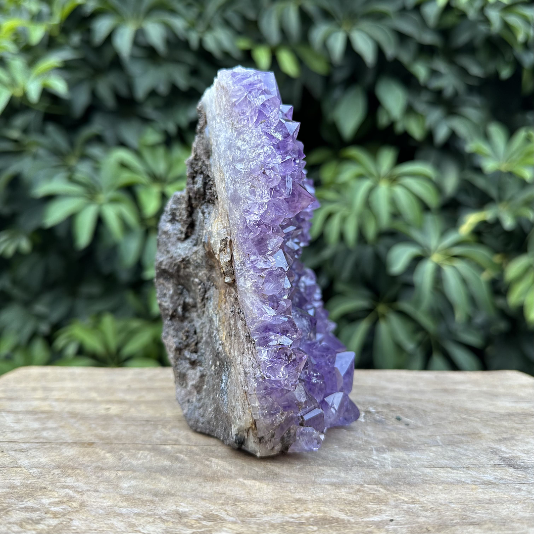 Capilla Amatista #32 4