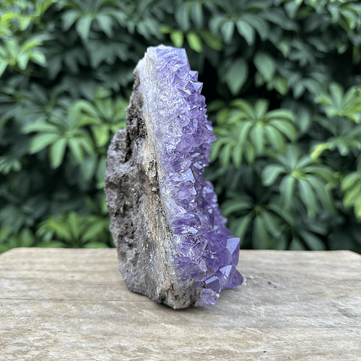 Capilla Amatista #32 4