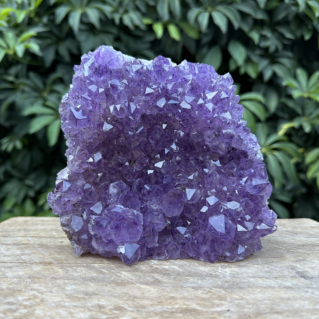 Capilla Amatista #32 1