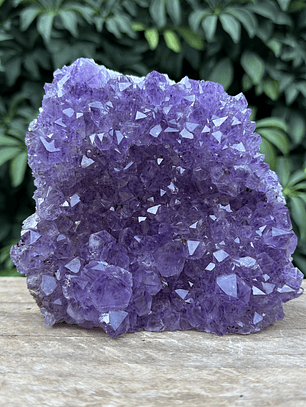 Capilla Amatista #32