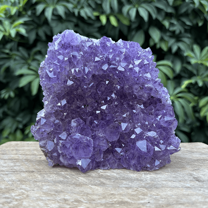 Capilla Amatista #32 1