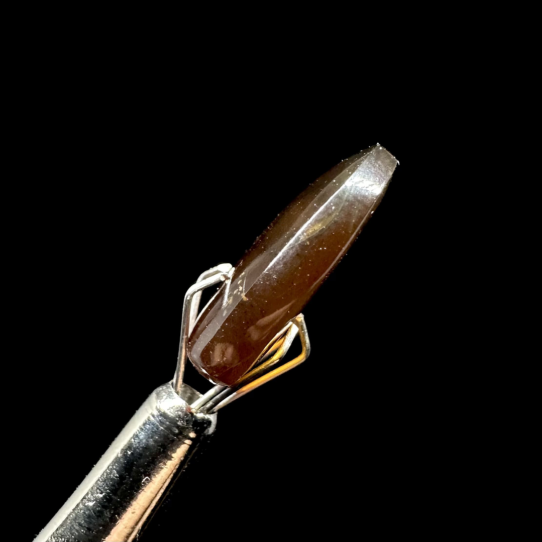 Ámbar con insecto #25 5