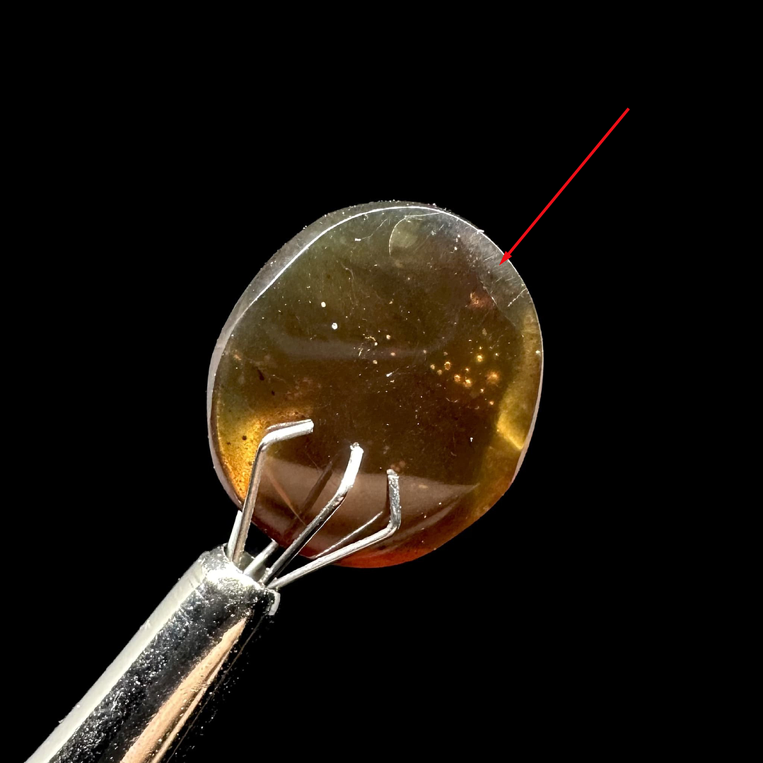 Ámbar con insecto #25 1