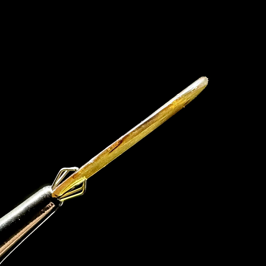 Ámbar con insecto #26 4