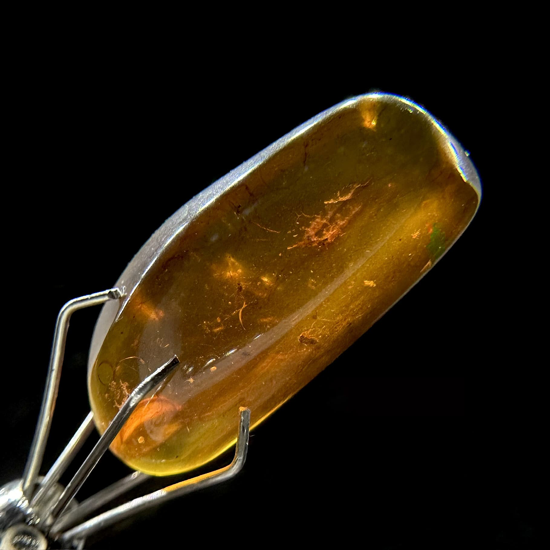 Ámbar con insecto #27 5